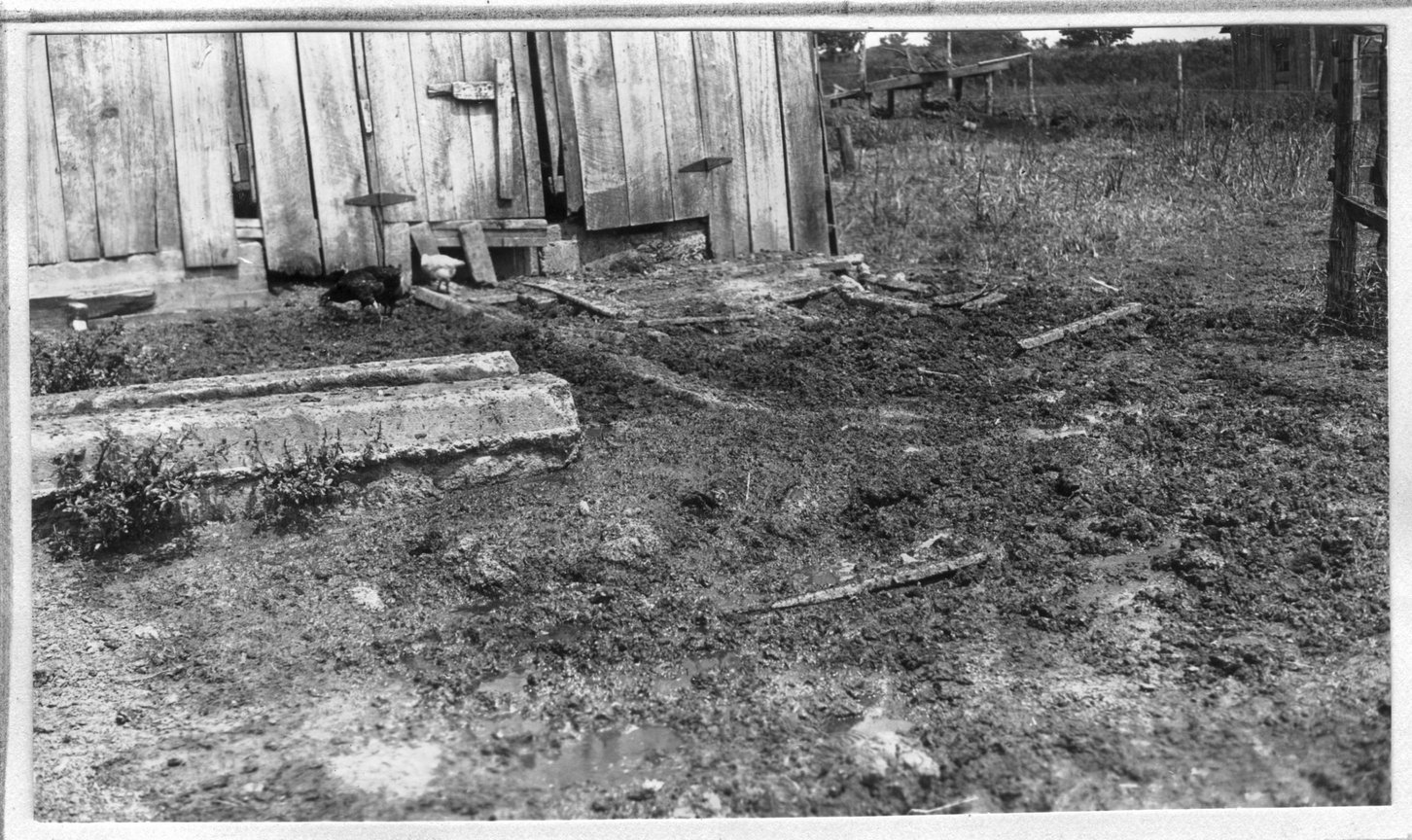 175~Barham Bros. Premises Aug 1920.jpg